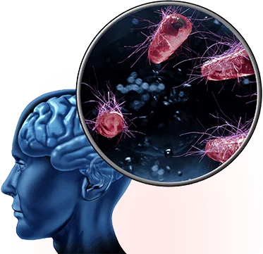 The Memory Wave